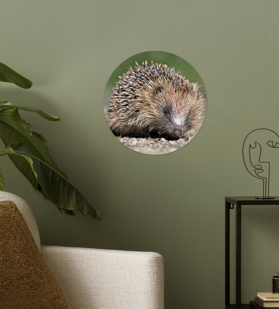 Cercle de papier peint - Hérisson - Water - Soleil - ⌀ 30 cm - Cercle mural - Autocollant - Sticker papier peint