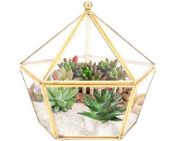 glas geometrische terrarium, 6.3 inch Air Plant houder vensterbank Decor plank Planter glazen bloempot succulenten Container cactussen Fern Pot