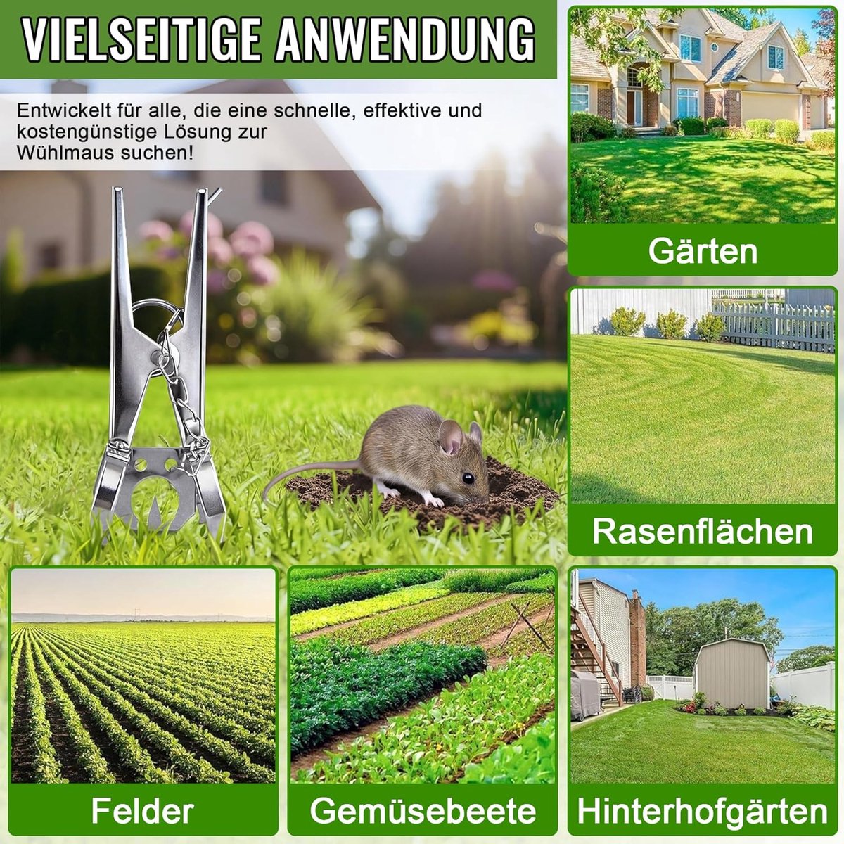 4-delige Woelmuizenval met ketting - Scherp en herbruikbaar - Woelmuizenval met clips - Dubbelzijdige vangst | Effectieve Veldmuisval voor tuin en gazon