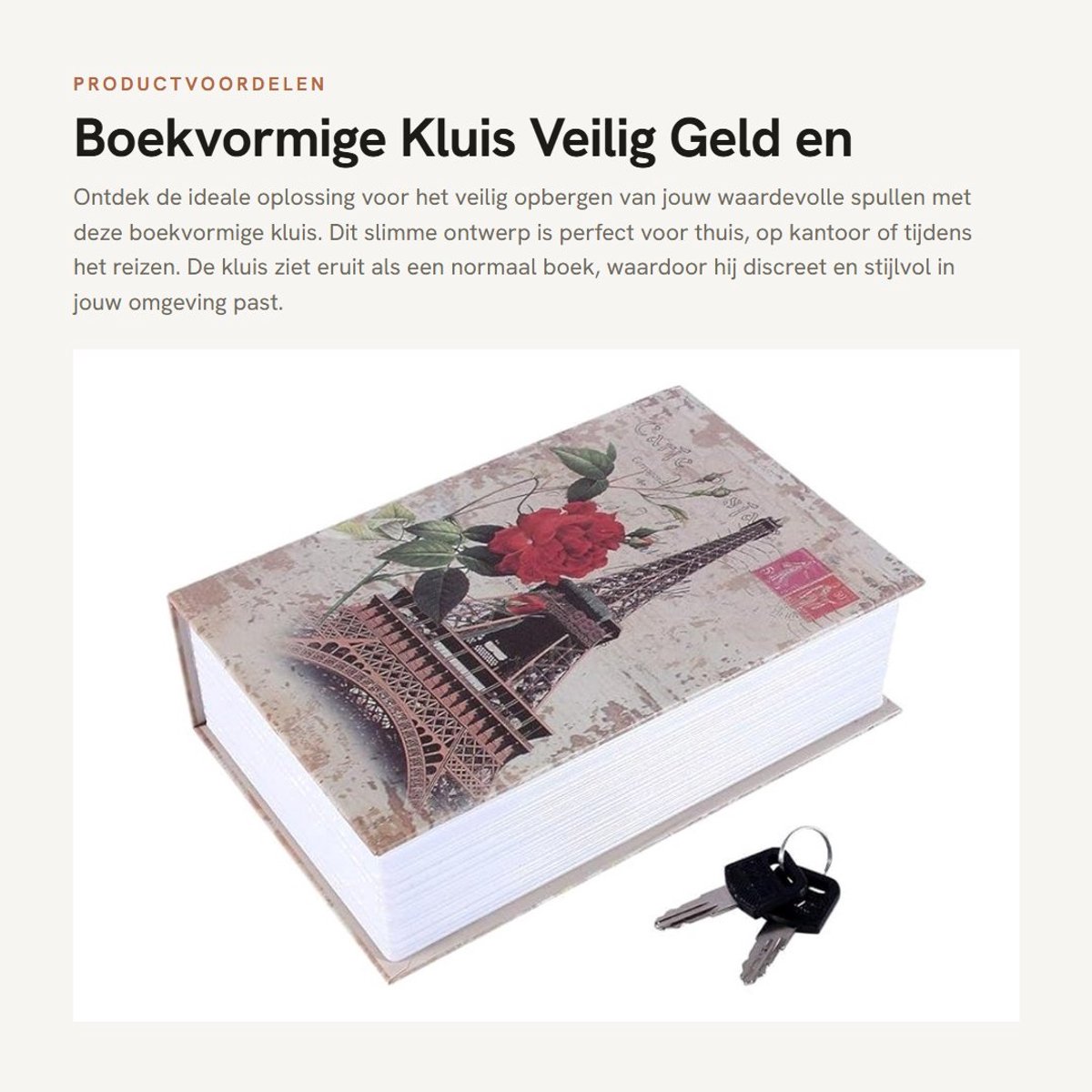 Dailygoods- Boekkluis met cijferslot - Veilig opbergen - Metaalconstructie - 2 Sleutels - Afmetingen 18 x 11,5 x 5,5 cm - Perfect cadeau - Veiligheidskluis