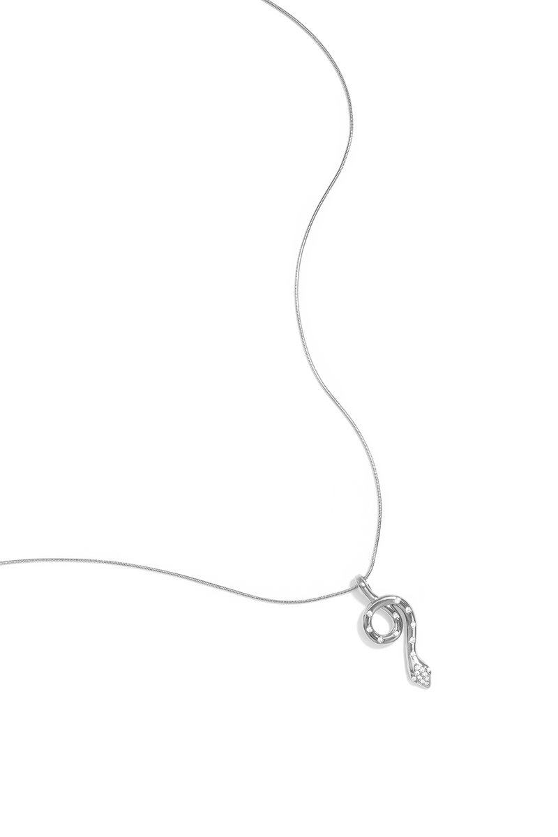 Roestvrijstalen Ketting met Slangen Hanger – Simple Daily Simple Series - Zilver