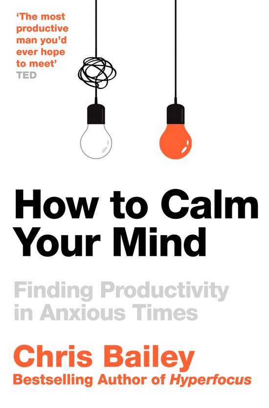 Boek 'How to Calm Your Mind' met afbeelding van twee gloeilampen, één in de war en één oranje.