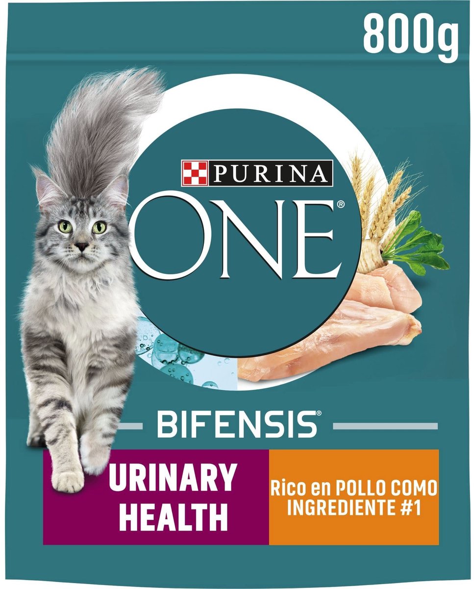 Solidchoice - Droogvoer voor Katten met Urinewegondersteuning, Rijk aan Kip en Tarwe