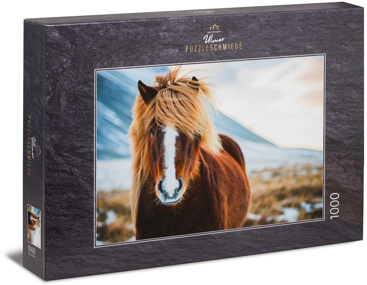 Solidchoice - Puzzel Fräulein Winterhaar - 1000 Delen met IJsland Paard Motief