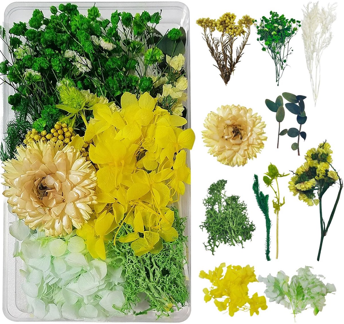Solidchoice - Natuurlijke Gedroogde Bloemen voor Creatieve Projecten