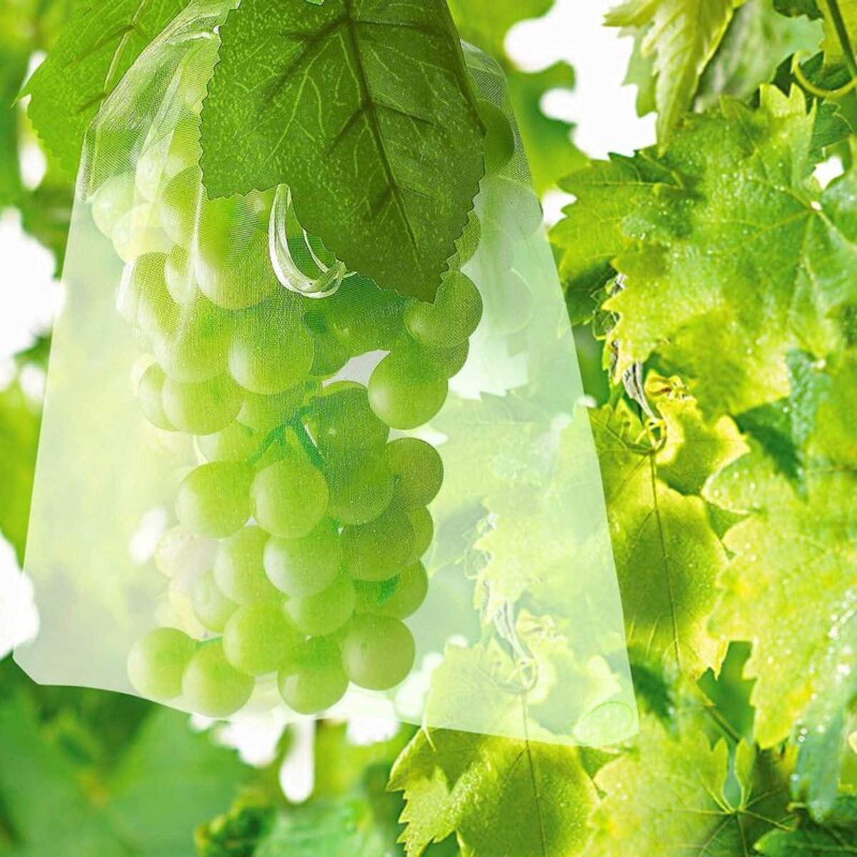 Verpakking van 100 stuks fruitbeschermingszakken, 30 x 20 cm – vogel- en insectennet – organza geschikt voor hoge dichtheid, geschikt voor druiven en groenten – 100 zakken
