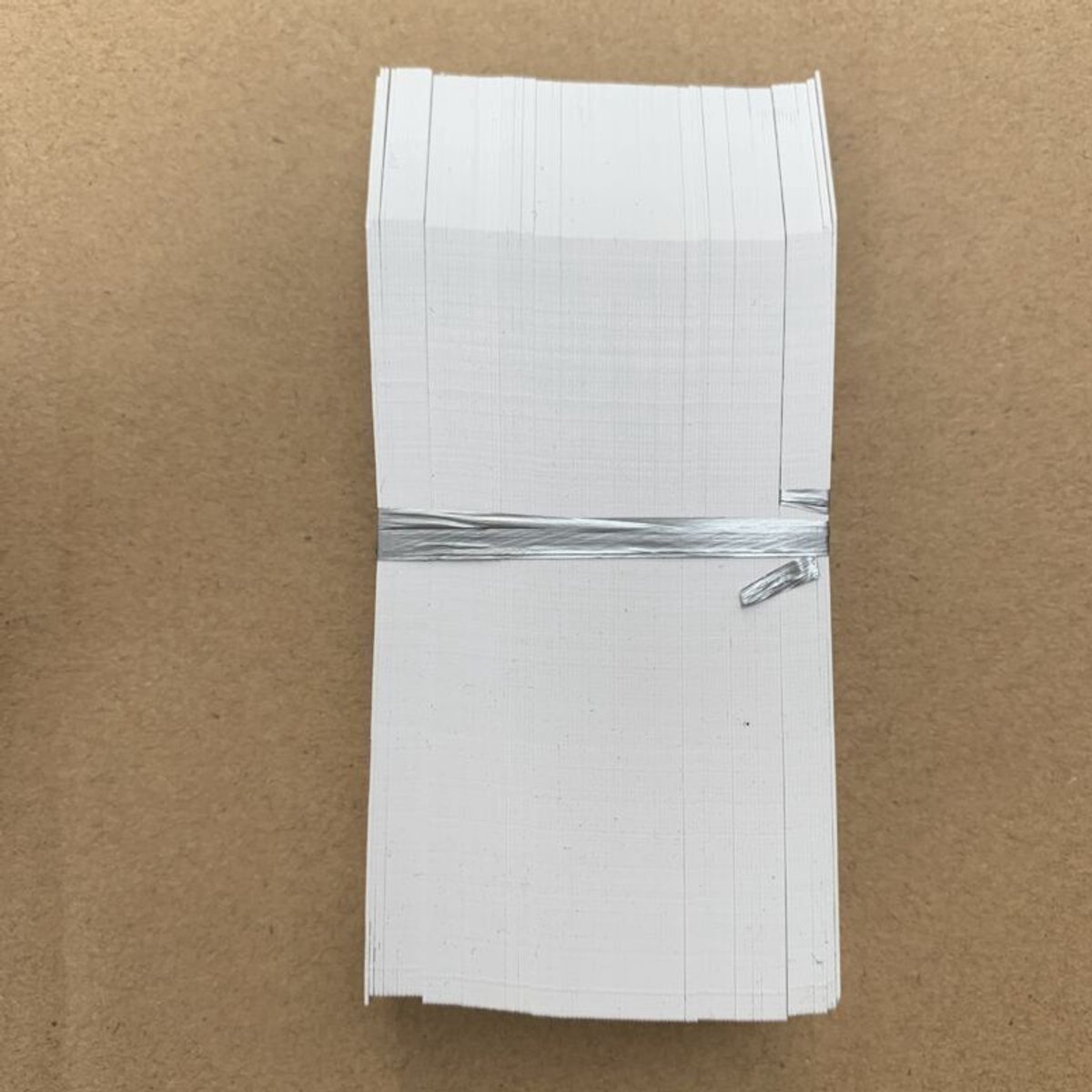 100 witte plastic plantenlabels geschikt voor tuinplanten, 2x10 cm labels geschikt voor zaailingen