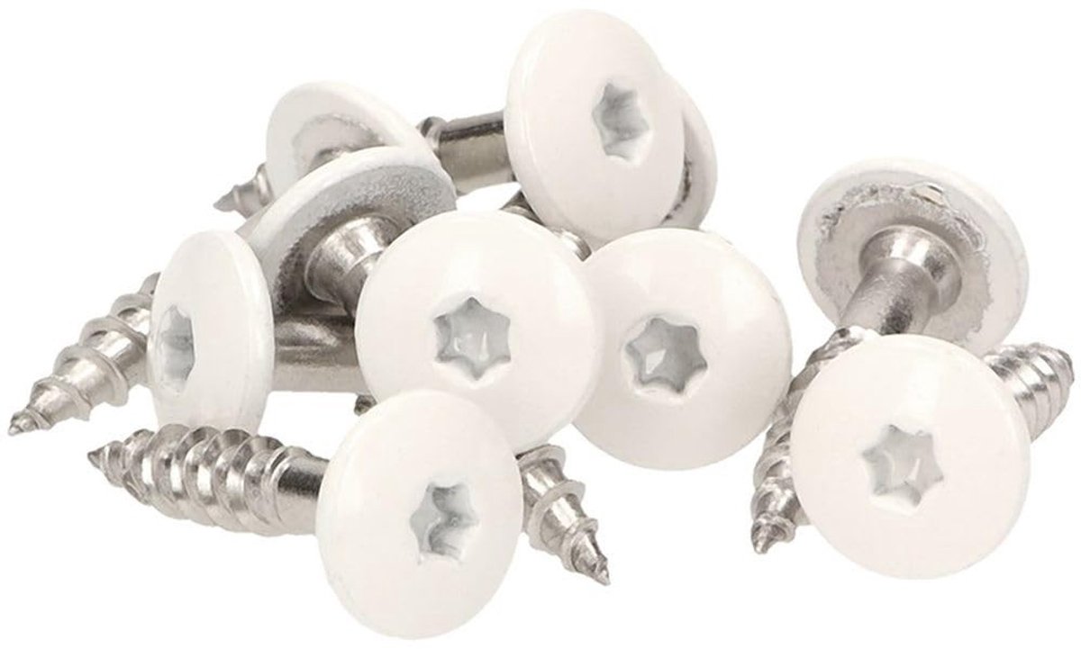 Solidchoice - Set van 100 Facadeschroeven INOX V4A 0.5 x 25 mm
