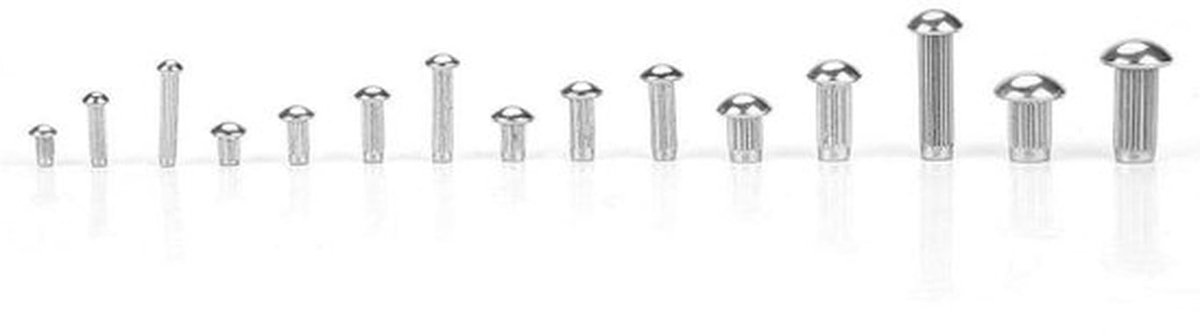 Klinknagels 250 stuks - Roestvrij Staal - Holnieten - Assortiment M2-M5 - Ronde Kop - Gekartelde Schacht - Popnagels