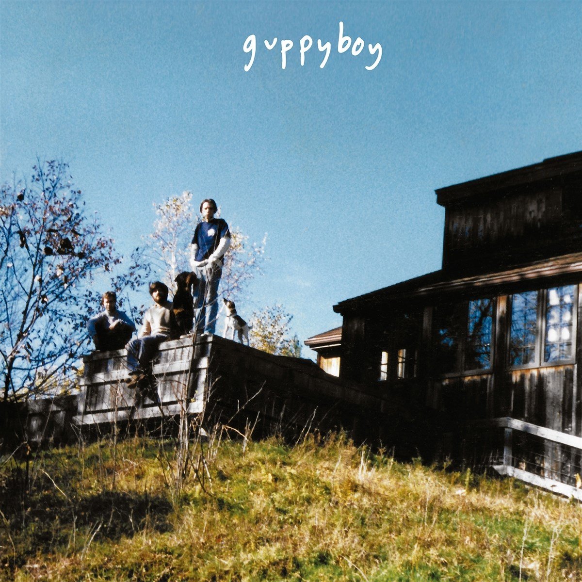 Guppyboy - Jeffersonville (2 LP)