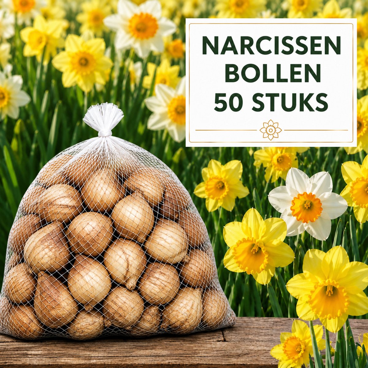 Narcissen Bloembollen - 50 stuks - Bloem Bollen Mix - Voor Tuin of Pot - Maat 12+ - Vers van de Teler!