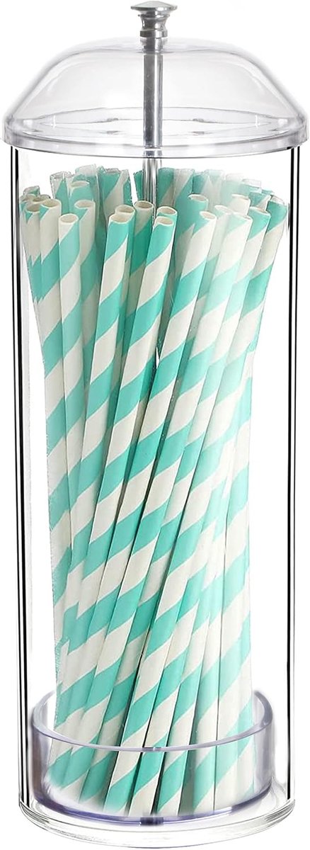 Youngever Straw Dispenser, Plastic Straw Holder with Lid - ShopVlot