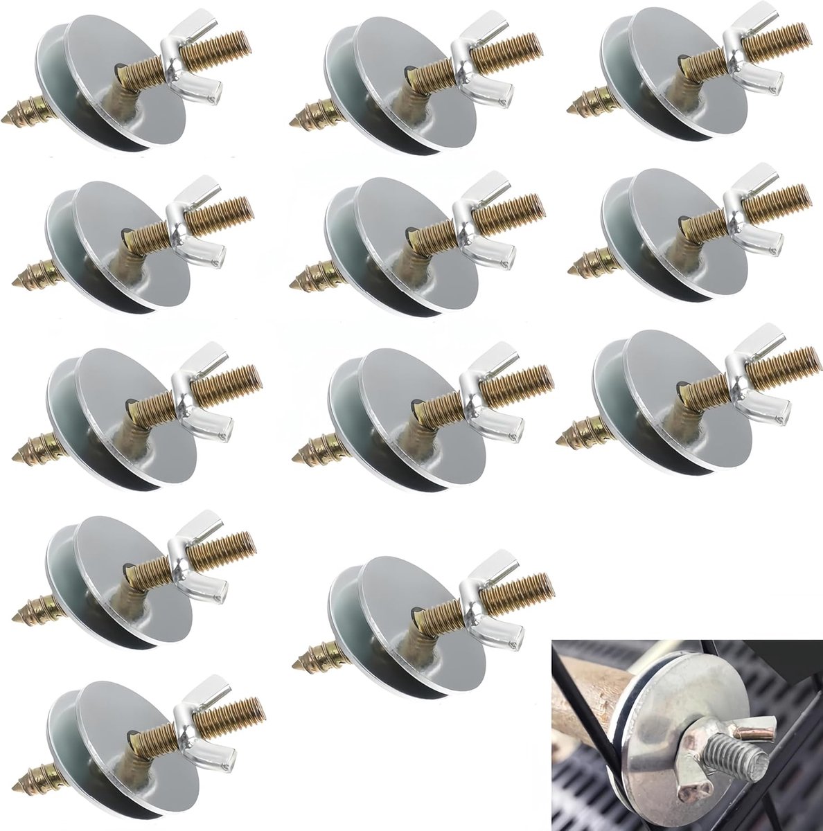 12 branch screws for bird wood perches, self-assembly for fixing cage, perches and nest - ShopVlot