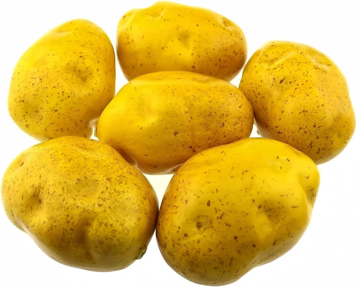 Ulalaza 6 Pcs Realistic Artificial Vegetables Lifelike Simulation Decorative Foam Food Imitation Potatoes Faux - ShopVlot