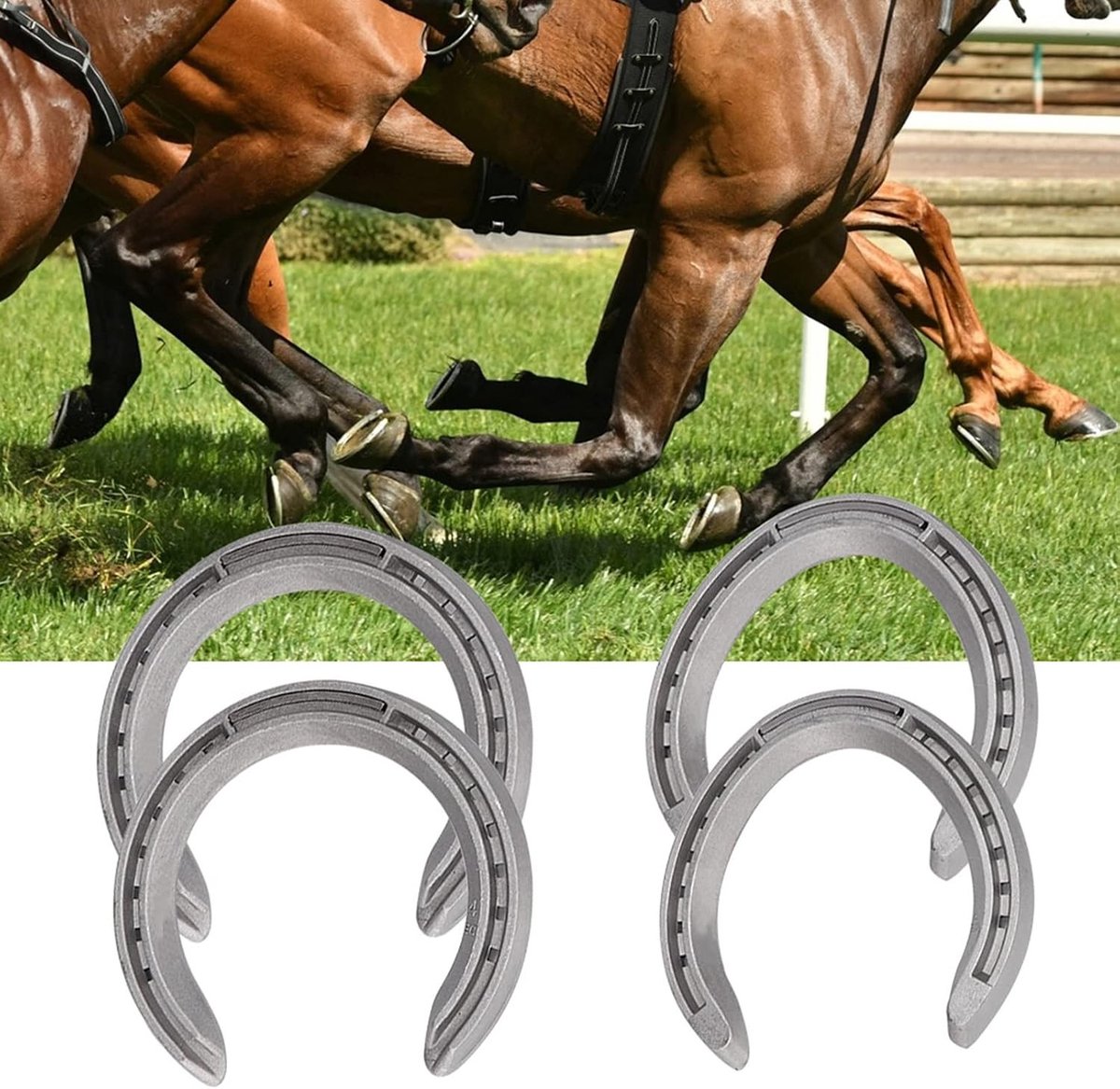 Horseshoe Set voor Ruiters - Essentiële Gereedschappen en Accessoires voor Gezonde Paardenhoeven en Voeten