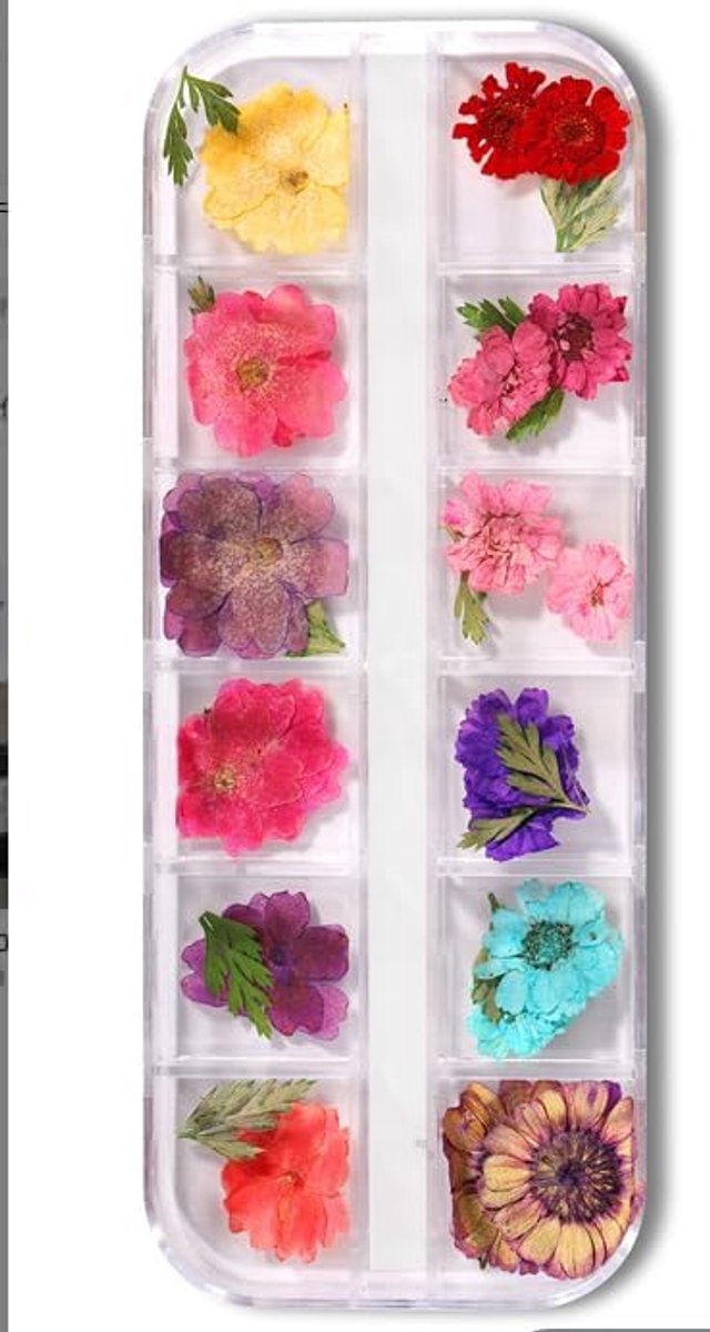 Nail art decoratie - veelkleurige gedroogde bloemen - natuurlijke textuur - perfect voor nail art - ShopVlot