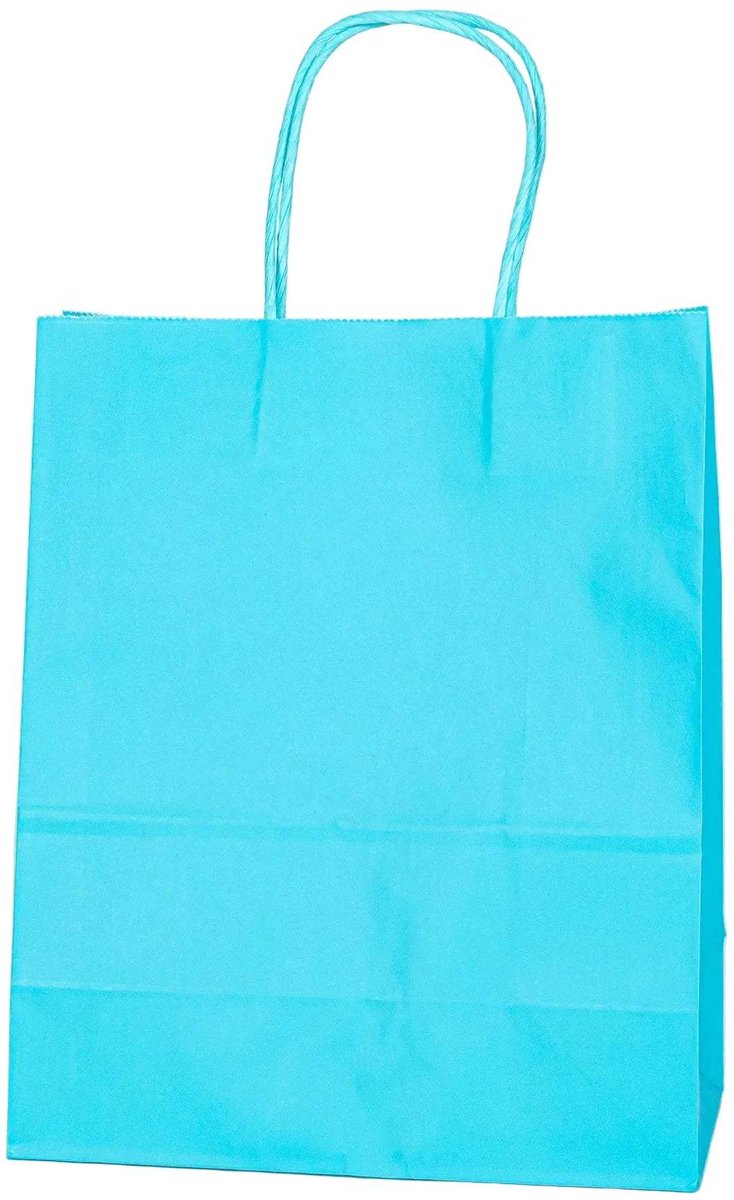 Papieren Draagtas - 60 Stuks -Ciyan- 22x27x11cm - Papieren Tasjes - Kraft Tas - Tassen - Cadeau Tas - Hoogwaardig Kraft Papier - Eco-vriendelijk - Ideaal voor Geschenken - Lasentopack