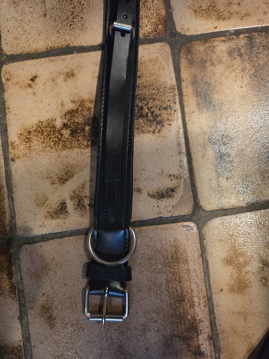 Julius K9 halsband met handvat 65 cm
