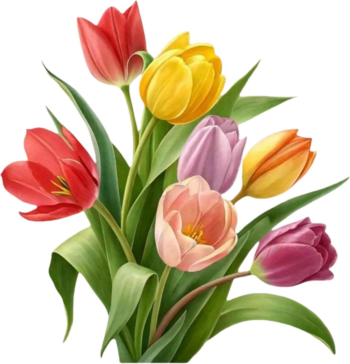 Duurzame, kleurrijke tulpenboeket, autostickers, 14,5 cm, waterdichte vinylstickers voor auto's, motorfietsen - ShopVlot