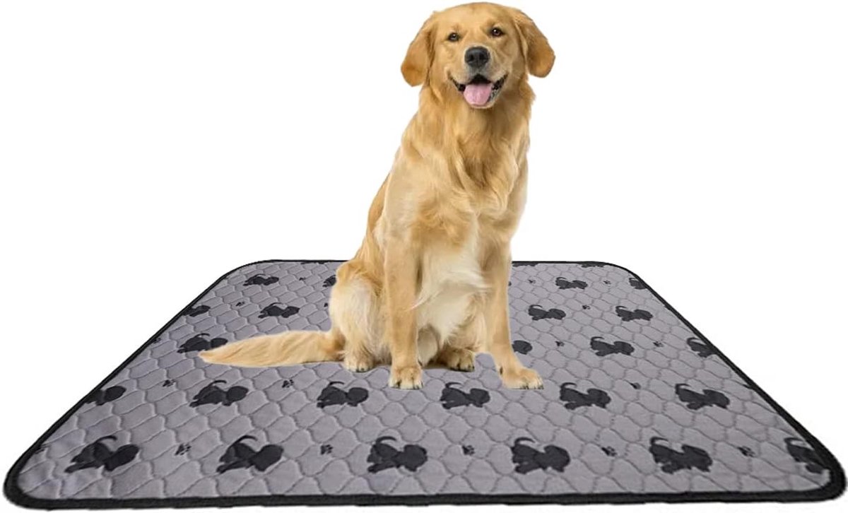 Wasbare urineonderlegger voor huisdieren, 2 stuks, herbruikbare hondenpotjes-trainingsmat, super absorberende puppy - ShopVlot