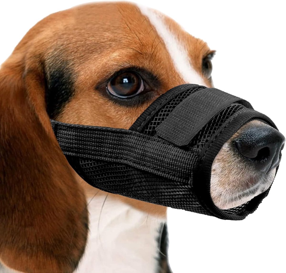 Ademend Hondenmuilkorf van Nylon Mesh met Verstelbare Bandjes - Voorkom Bijten, Schreeuwen en Onbedoeld Eten