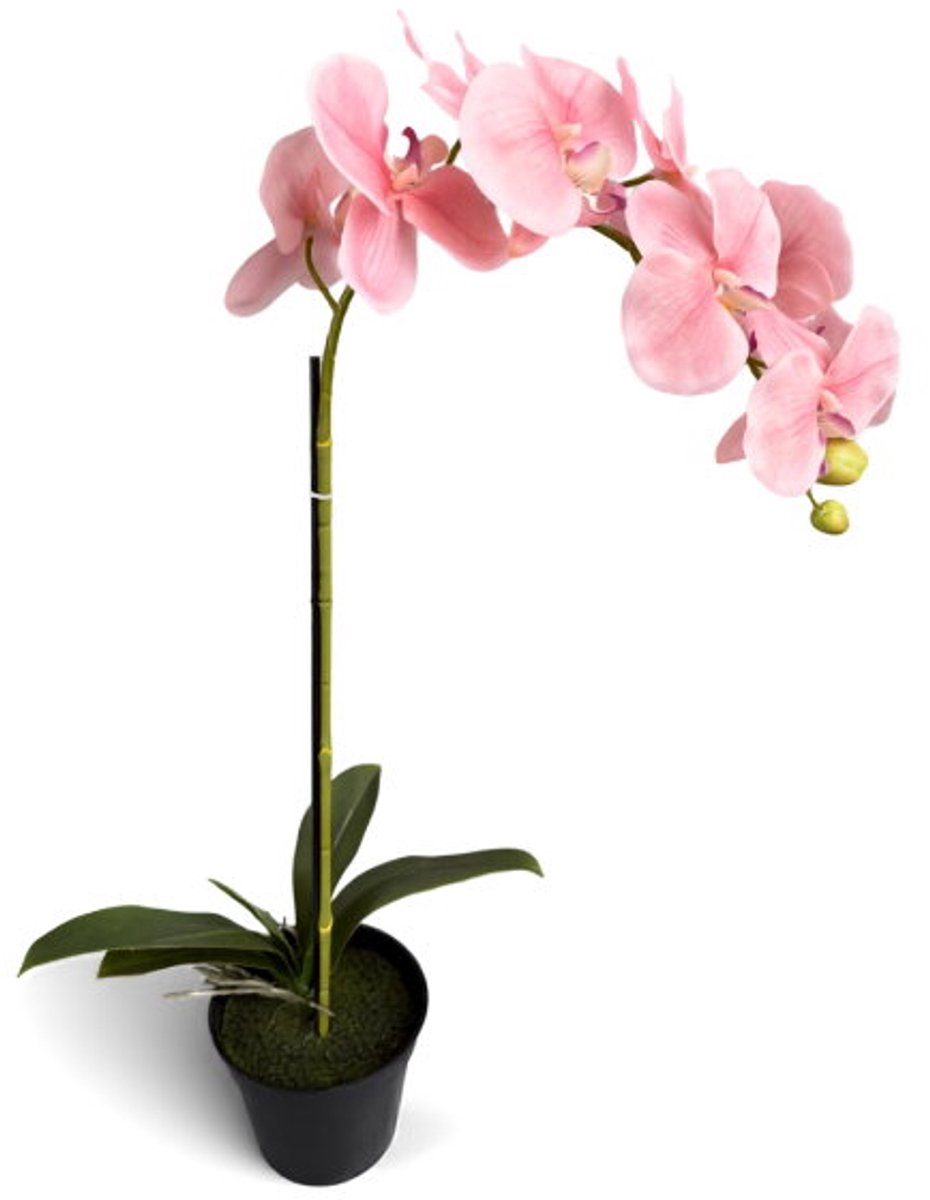 Orchidee new pink in pot H 64 cm kunstplant Oosterik Home