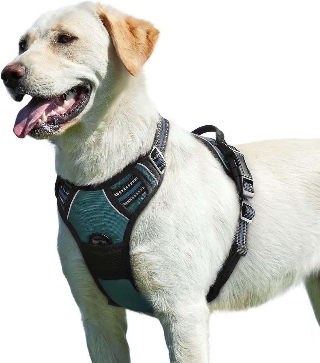 Thijox - Hondentuig No Pull Hondenharnas Grote Honden Verstelbaar Reflecterend Gewatteerd Zacht Ademend Donkergroen L Anti-trek voor Wandelen Training