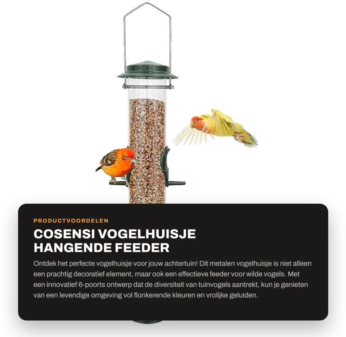 Dailygoods- Vogelhuisje Metalen - Vogelvoederhuisje - Weerbestendige Beugel - Eekhoornbestendig - Hangend - Gemakkelijk Te Vullen - Voederhuisje