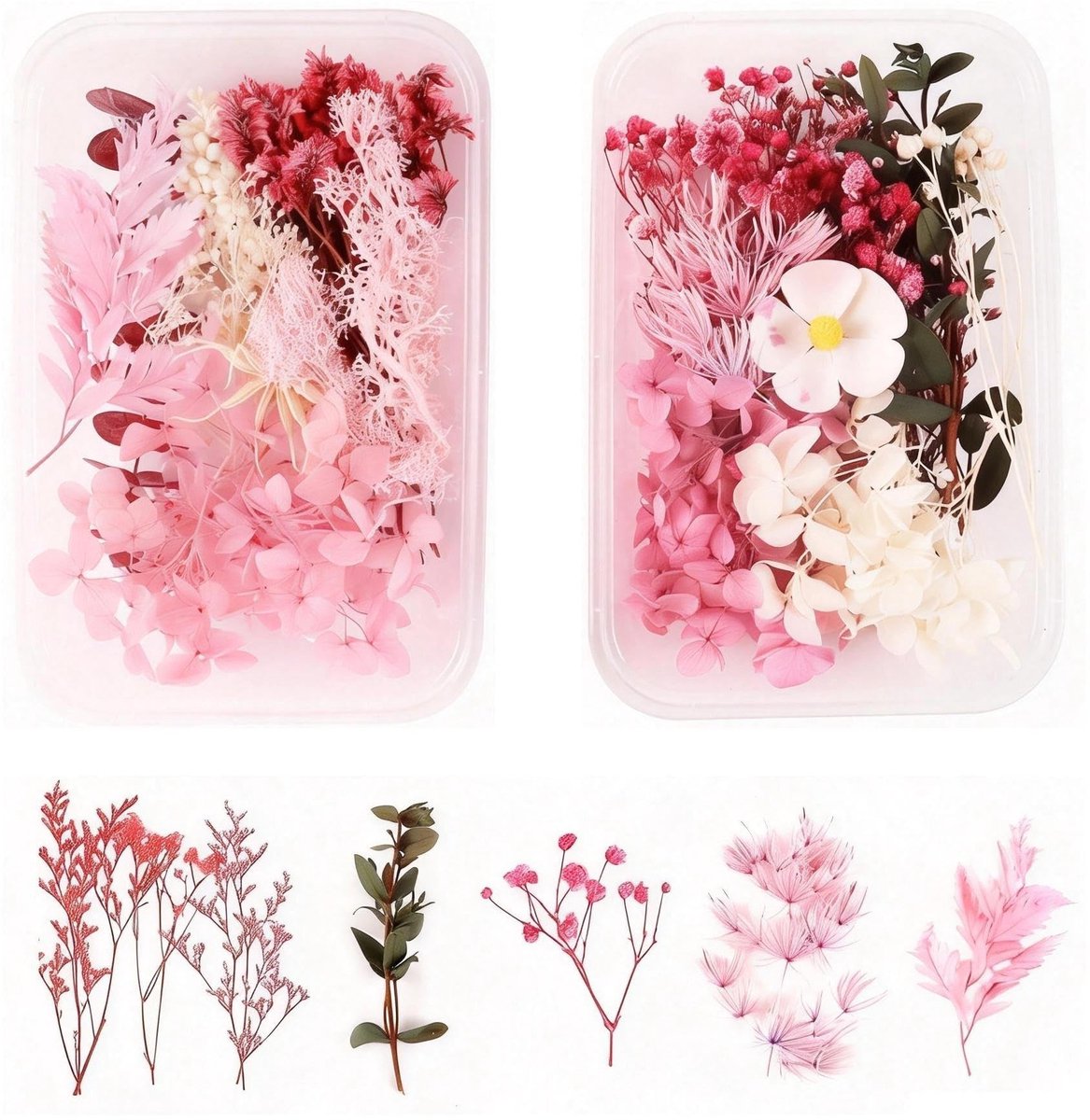 Dailygoods - Set van 2 Decoratieve Gedroogde Bloemen - Echte Geperste Bloemen voor DIY