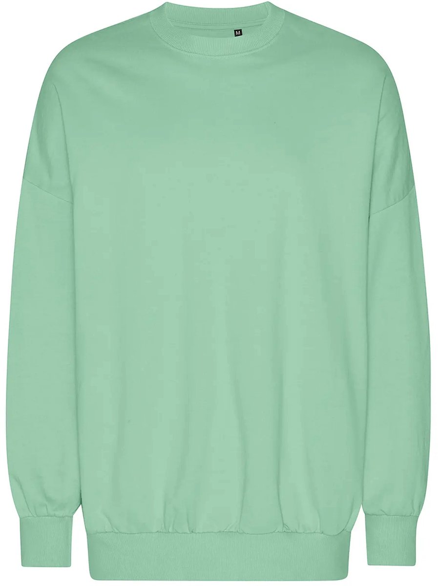 Neutral Oversized Sweatshirt NET63011 - Dusty Mint - XS