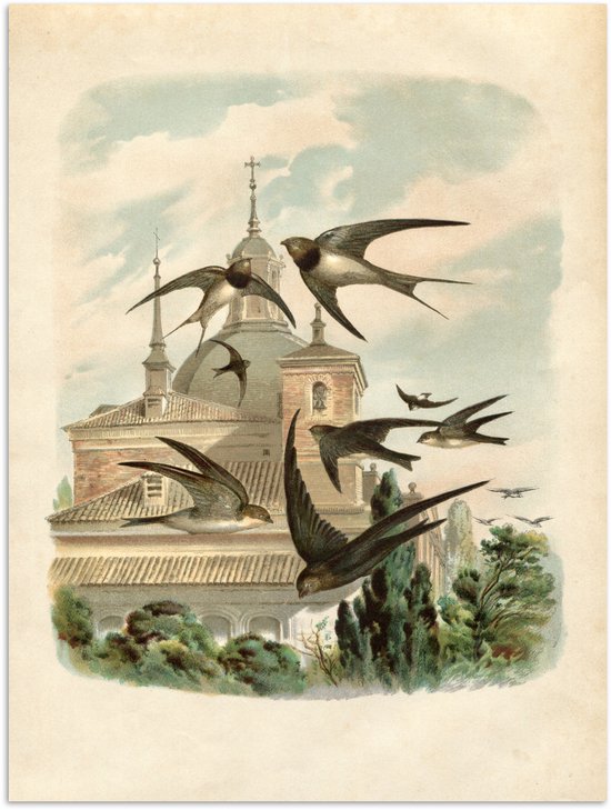 Une ancienne illustration d'un groupe d'hirondelles volant au-dessus d'un bâtiment avec des toits et des dômes.