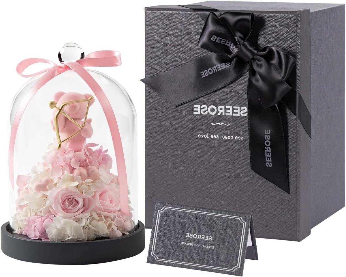 Eeuwige Roos - Gedroogde Bloemen - Cadeau Geven - Handgemaakt Decoratie - 19 cm Hoog - Rood