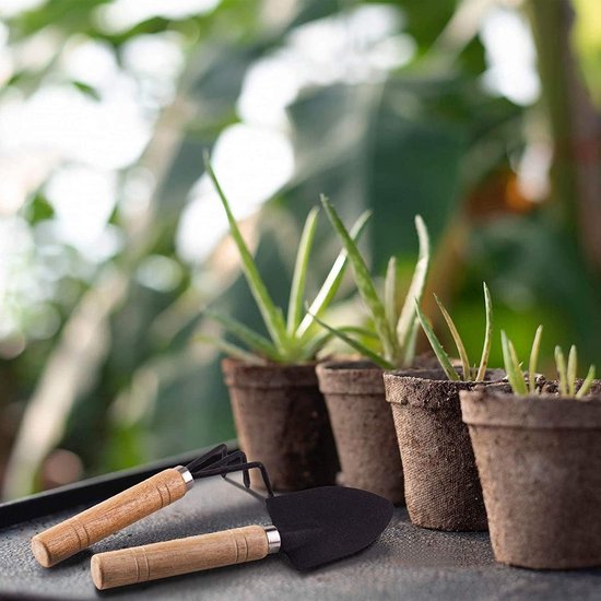 Dailygoods- Tuingereedschapsset 3-delig - Handgereedschap - Houten handvatten - Koolstofrijk staal - Sterk en duurzaam - Voor verplanten en wieden - Tuinset van Dailygoods — afbeelding 2