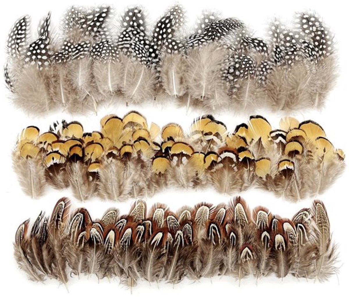 Aladdien - Natuurlijke Fazantenveren - Knutselmateriaal - 150 Stuks