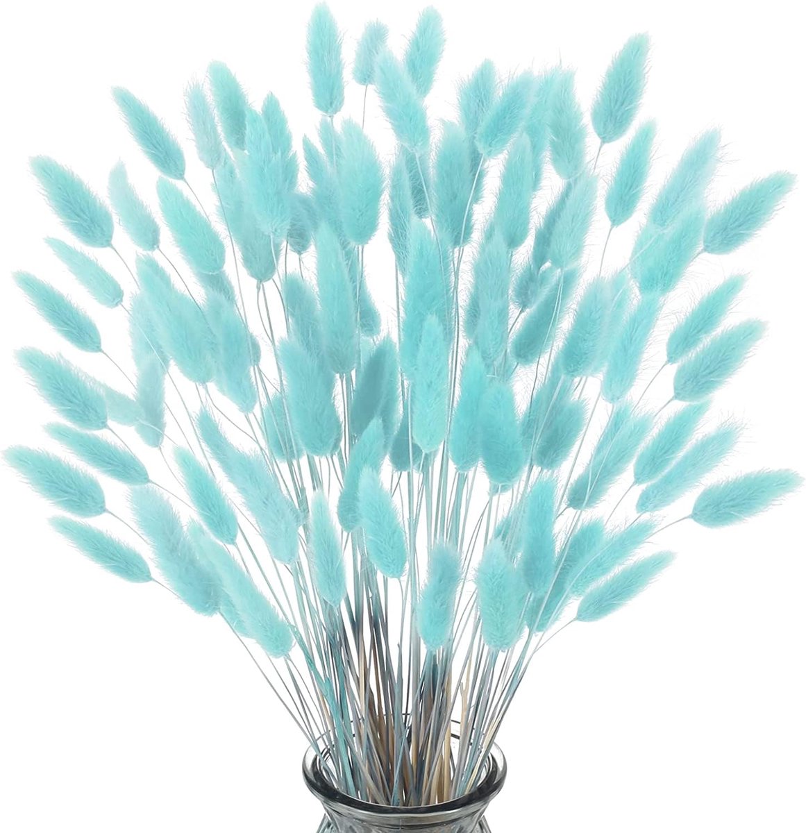 pampasdecoratie, 60 stuks, natuurlijke gedroogde bloemen, konijnenstaart, gras, boho, super pluizig, voor woon- en bruiloftsdecoratie (blauw)