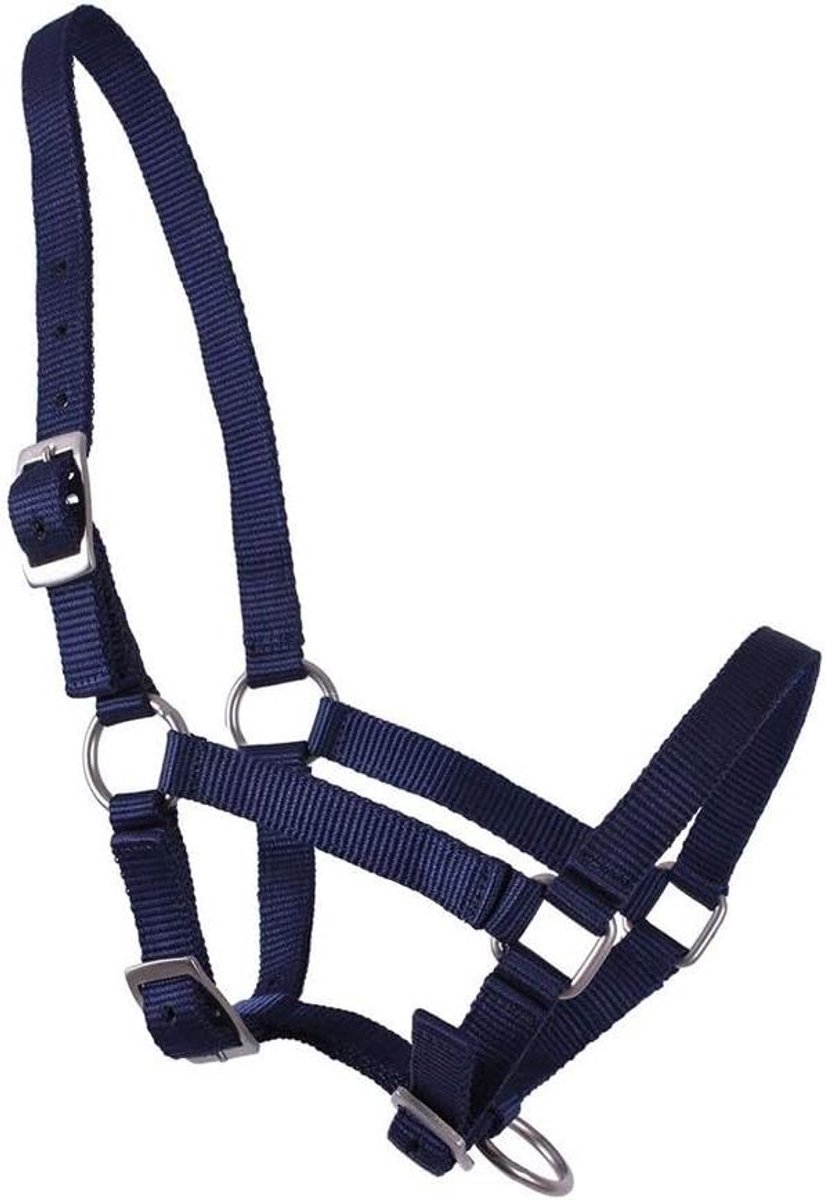 Veulen Halster - Hengsten Halster - Paard Trainen - 3-Weg Verstelbaar - Niet Gespecificeerd - Blauw