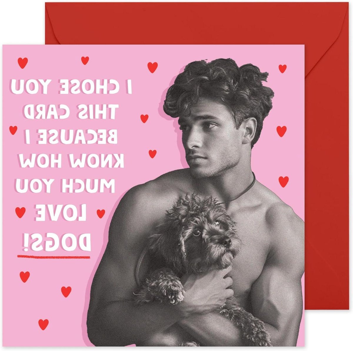 Verjaardagskaart Hond - Grappige Wenskaart - Vriendschap Vieren - Dikke Kaartkwaliteit - 145x145mm - Multicolor