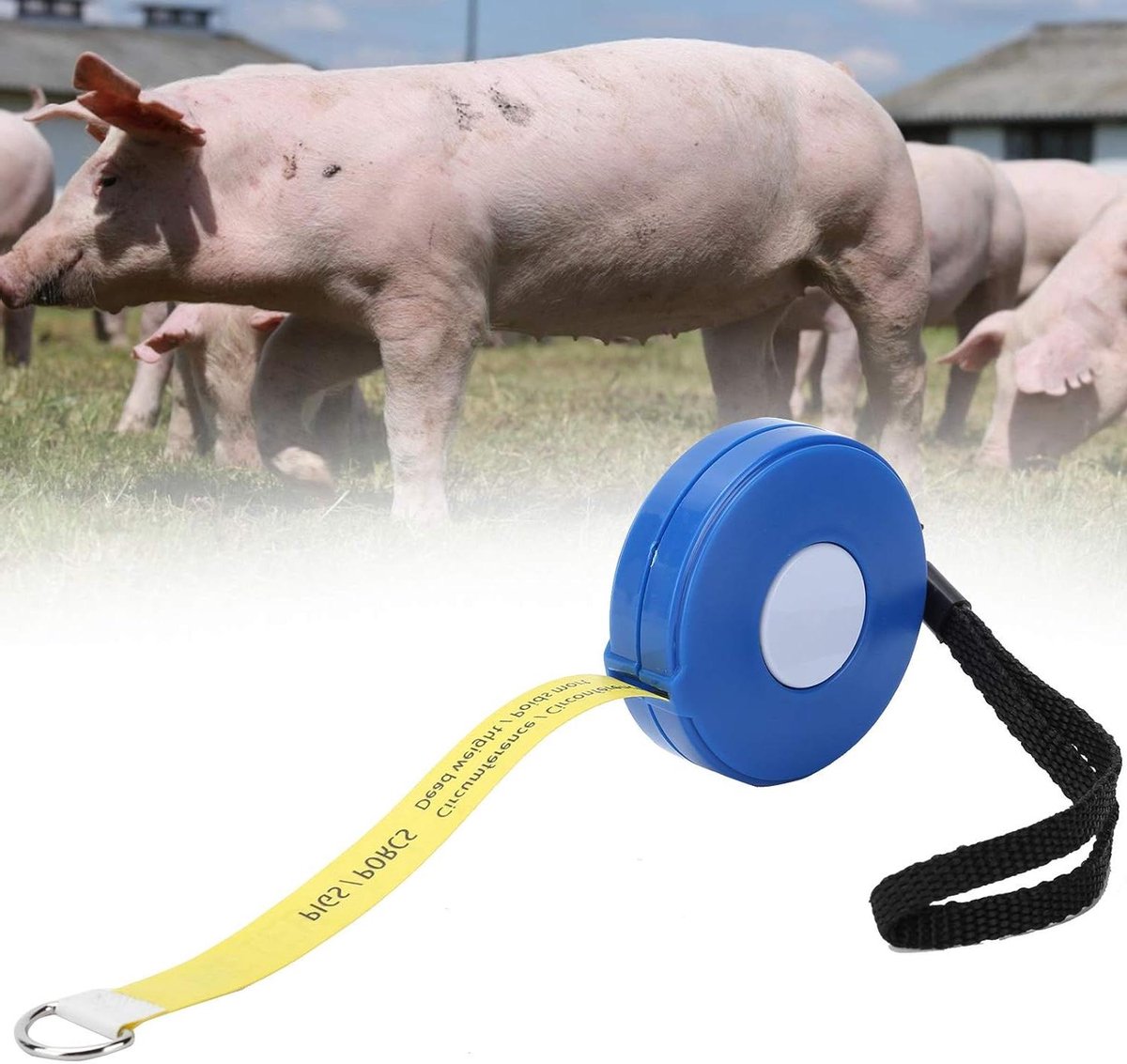 Vee Gewicht Meetlint - Meetlint Vee Varken - Boerderij Dieren Meten - Dubbele Maattabel - 250 cm - Wit