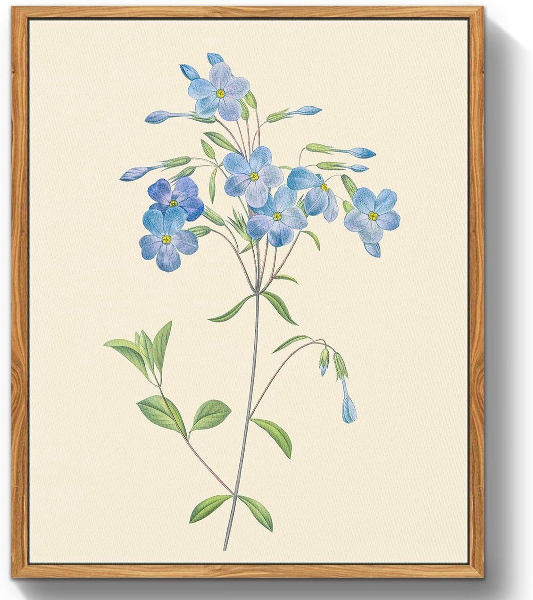 Botanische Muurkunst - Blauw bloemen schilderij - Woonkamer decoratie - Ingelijst canvas - 40 x 30 cm - Blauw
