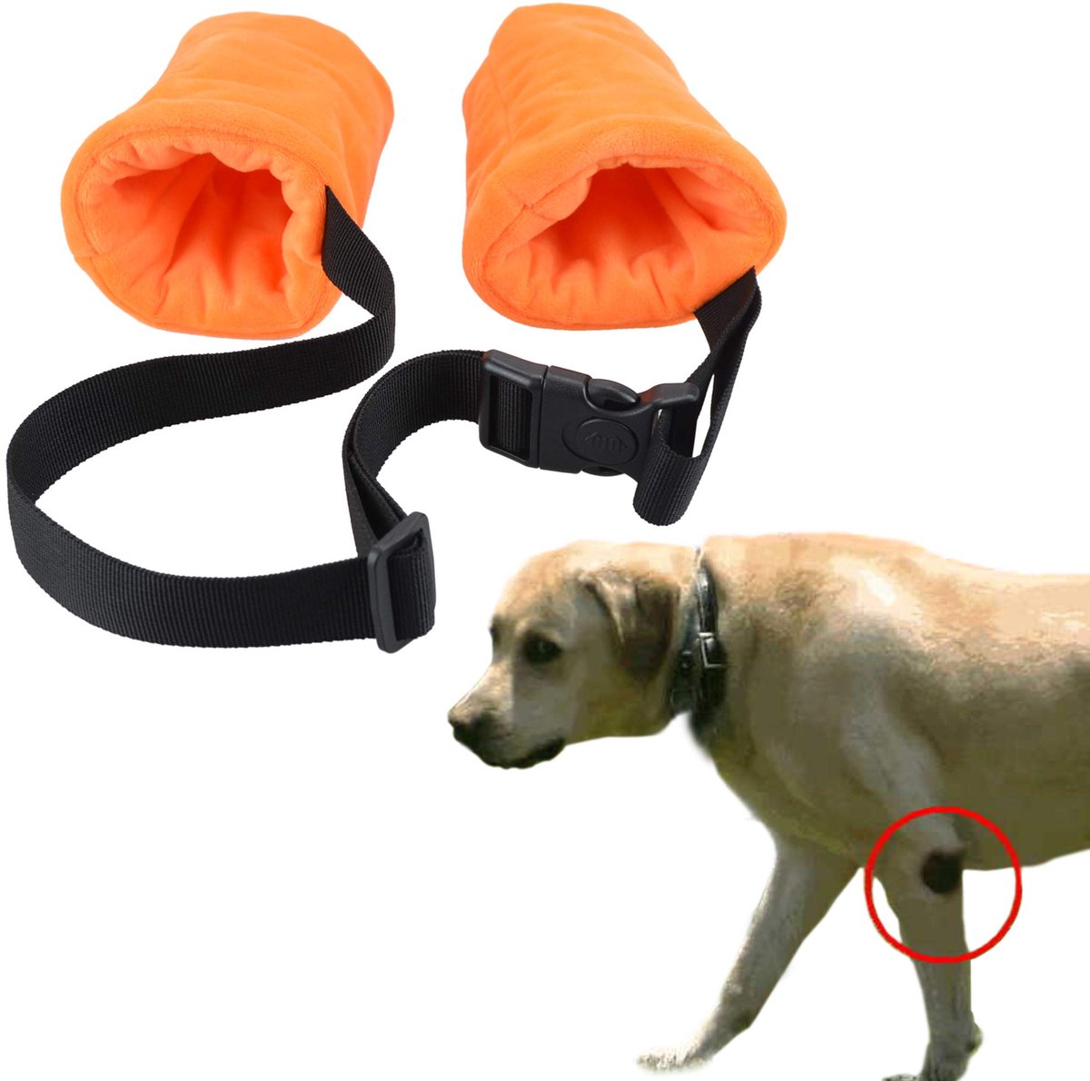 Elleboogbeschermer voor honden, fleece elleboogmouwen met wattenschijfje voor honden, voorkomt letsel (klein)