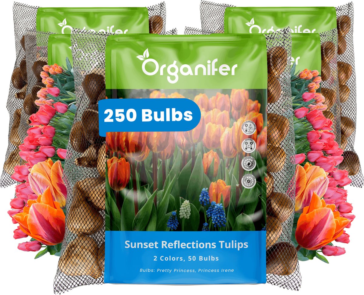 Tulpenbollen - 250 Bloembollen - Sunset Reflection - Princess Mix Oranje Roze Koraal - Organifer