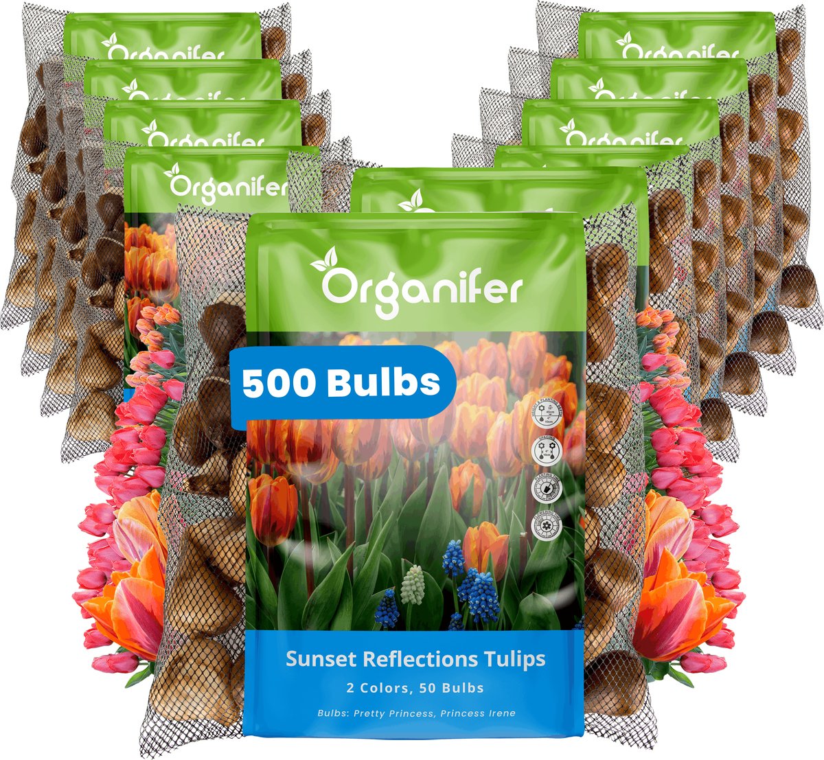 Tulpenbollen - 500 Bloembollen - Sunset Reflection - Princess Mix Oranje Roze Koraal - Organifer