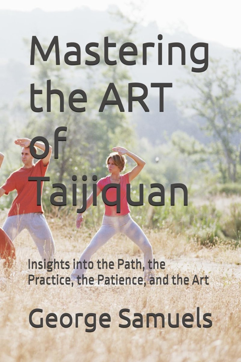 Taijiquan boek - inzichten in de praktijk - geduld en kunst - ontdek de weg naar balans - ShopVlot