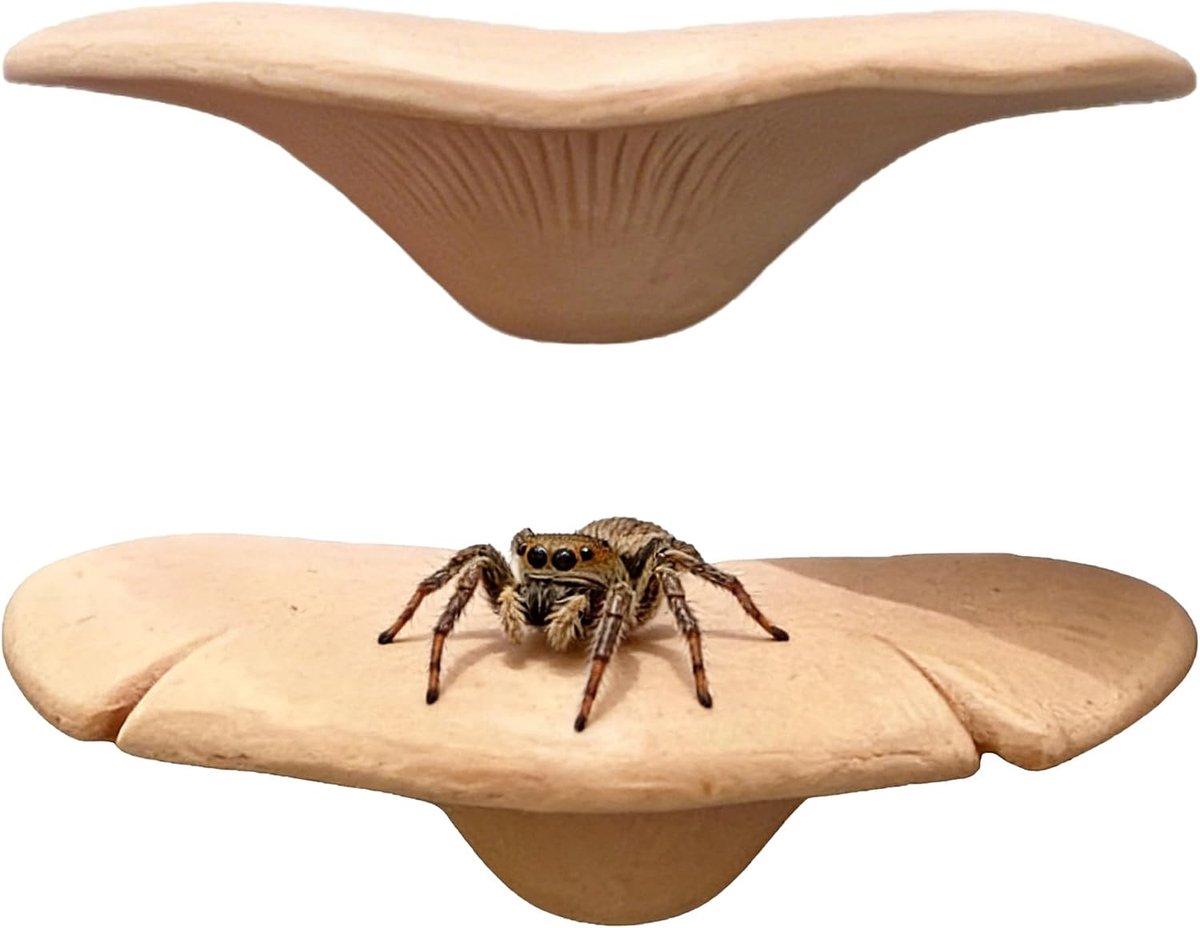 2 stuks springspinnen accessoires paddenstoel Beige behuizing accessoires voor huisdieren springspinnen realistische klimuitsteeksels voor springspinnen terrarium observatie fokken