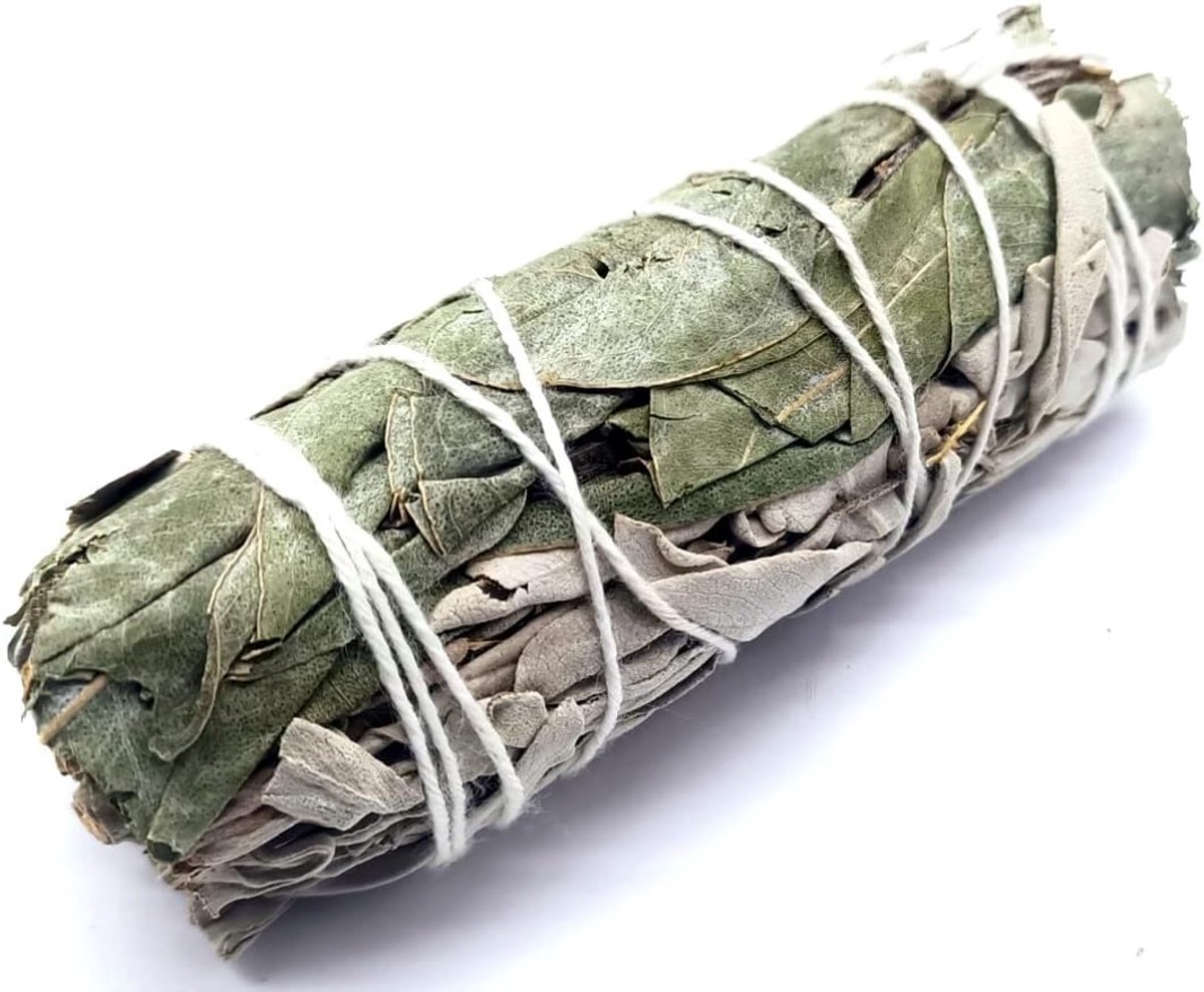 salie en eucalyptus - 10 cm ~ 20 g - Smudge voor reiniging - hoogste kwaliteit uit Californië