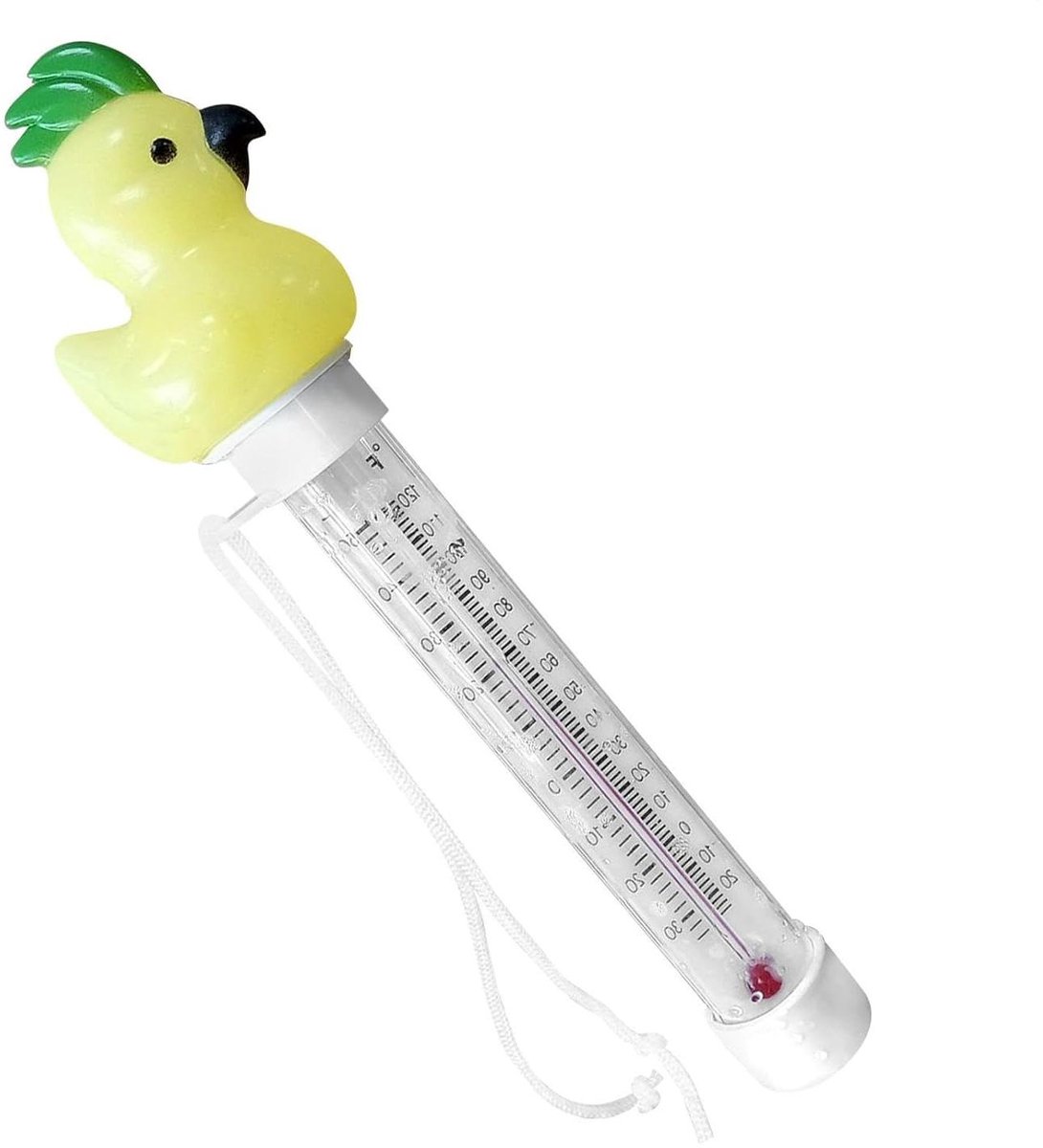 Zwembad Temperatuurmeter - Waterthermometer Drijvend - Waterkwaliteit Controleren - Grappig Dier Design - 20.4 Centimeter - Papegaai