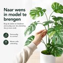 Main pliant une tige d'une grande plante artificielle verte Monstera aux feuilles tachetées multicolores dans un pot blanc.