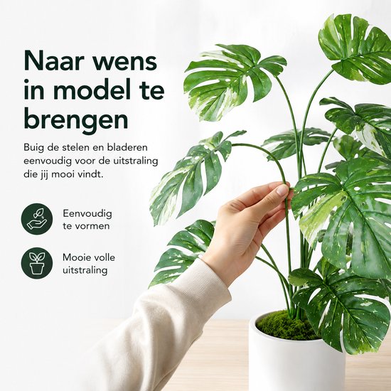 Main pliant une tige d'une grande plante artificielle verte Monstera aux feuilles tachetées multicolores dans un pot blanc.