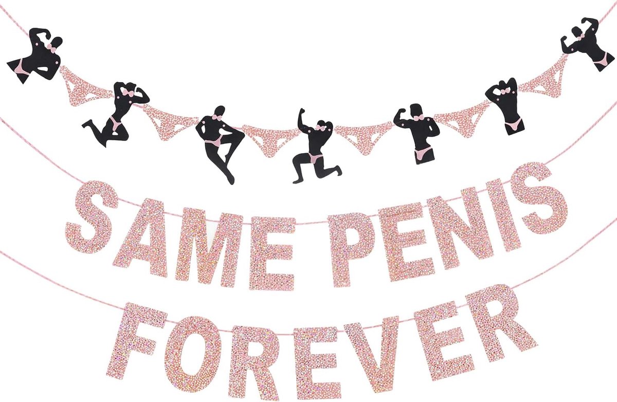 Feestdecoratie set - Roze Goud - Bachelorette party slingers - Stijlvolle achtergrond voor bruiloft - SnelShoppen