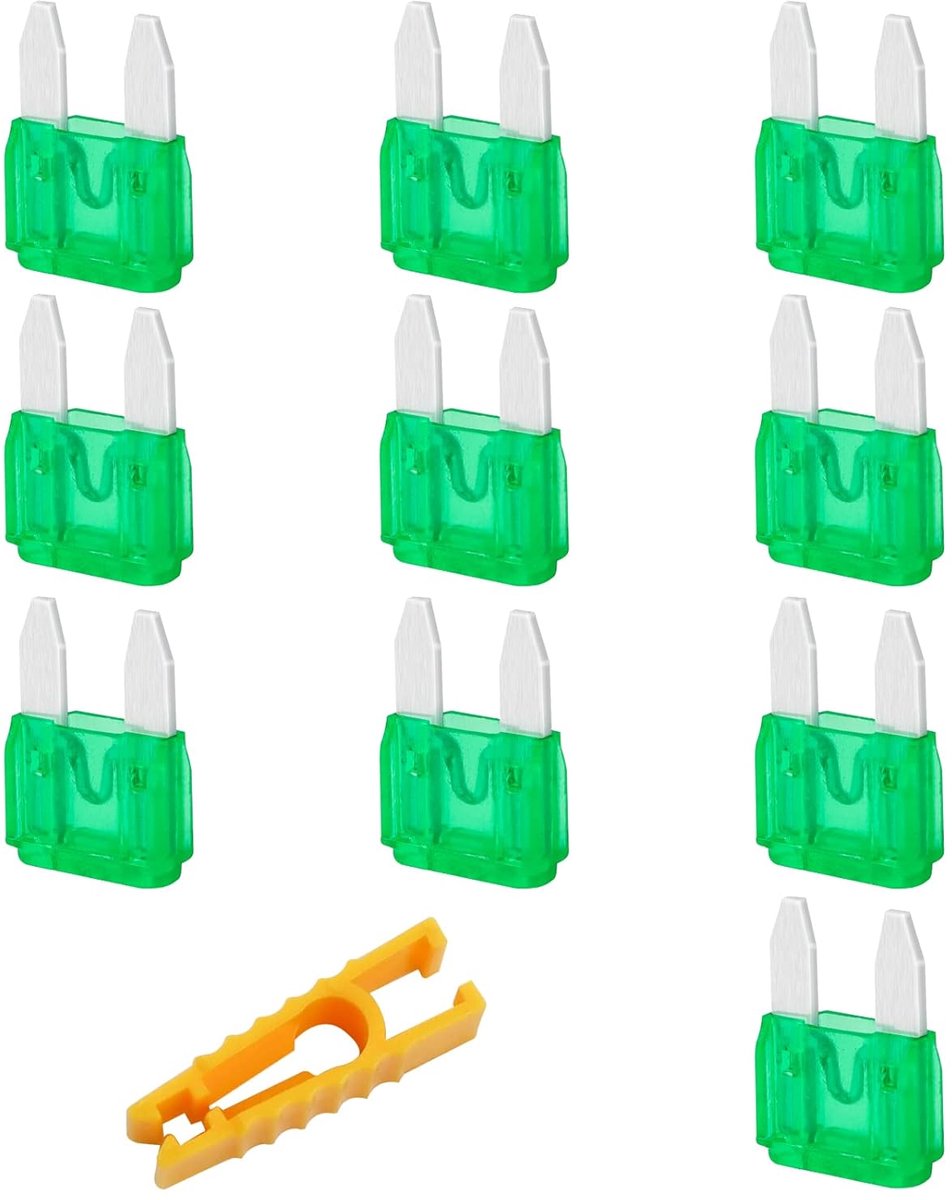 10 stuks mini-zekeringen 30 A voor auto, kit met trekker voor camper, vrachtwagen, motorfiets, boot